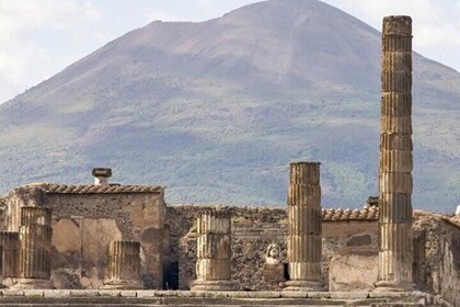 Pompeii and Vesuvius Private Tour from Naples – Driver and Guide