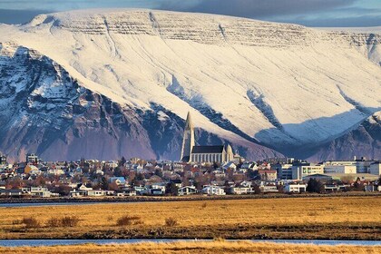 Self Guided Walk through Reykjavik's Highlights