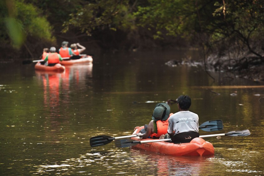 5-Day Iguazu Falls: Remote Jungle Lodge Escape with Airfare from Buenos Air