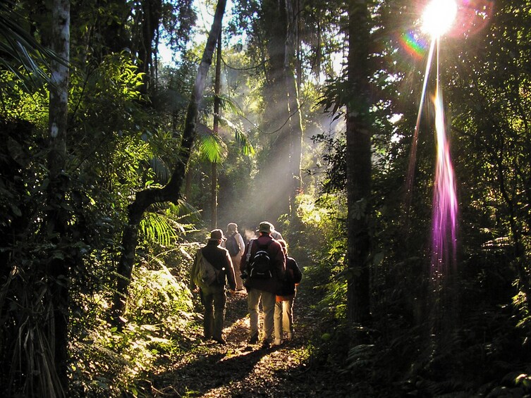 5-Day Iguazu Falls: Remote Jungle Lodge Escape with Airfare from Buenos Air