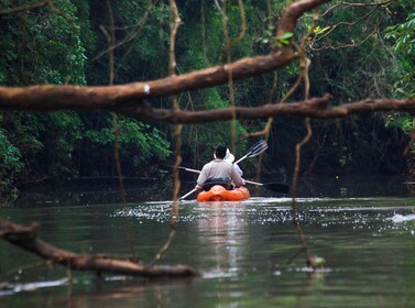 5-dages Iguazu-vandfaldene: Remote Jungle Lodge Escape med flybillet fra Bu...