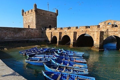 Full-Day Essaouira City Tour, Cooking Class & Lunch - Marrakesh