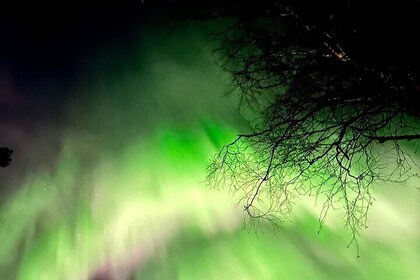 Rovaniemi Hunting Aurora at the Best Spots