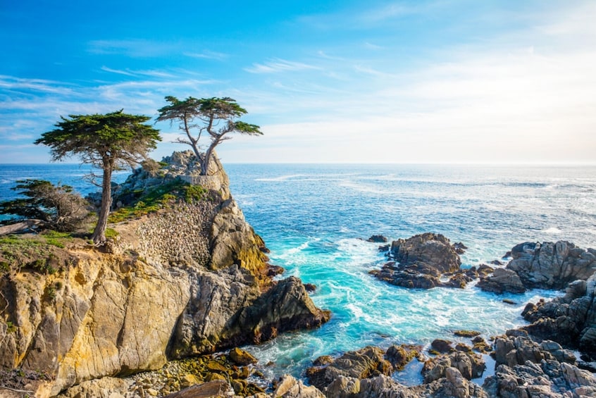 BEST Carmel &17-Mile Drive & Monterey Day Tour from San Francisco