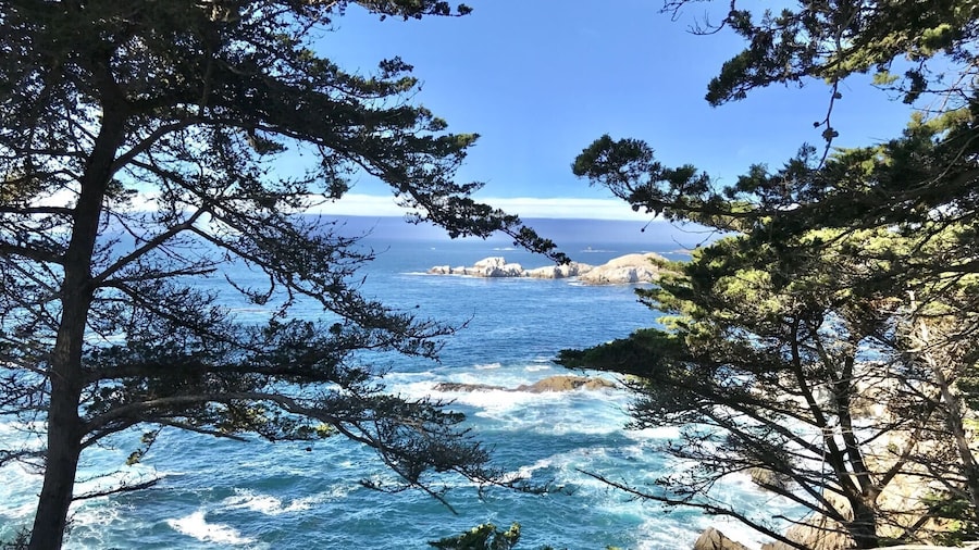 BEST Carmel &17-Mile Drive & Monterey Day Tour from San Francisco