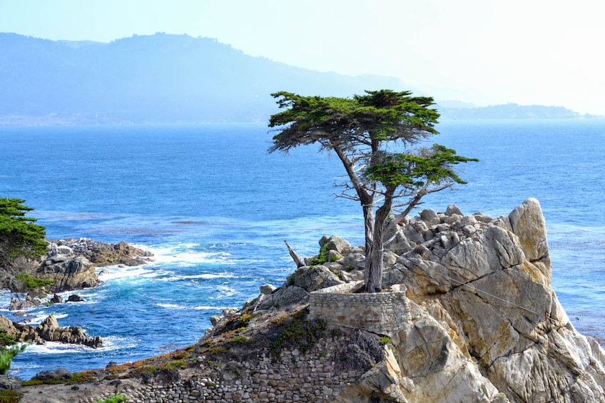 17-Mile Drive,Carmel-By-The-Sea,Monterey 1Day Tour(San Francisco Departure)