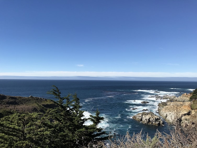 BEST Carmel &17-Mile Drive & Monterey Day Tour from San Francisco