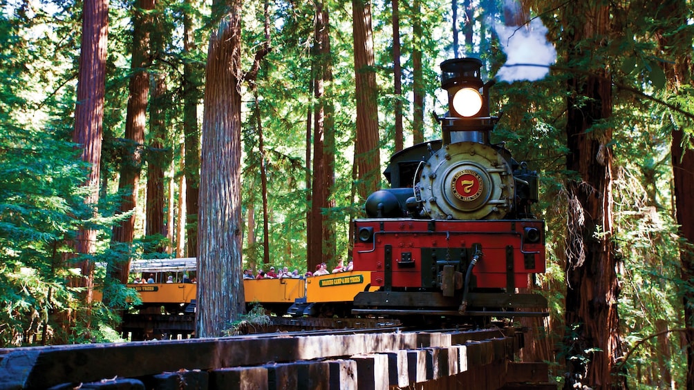 Redwood Forest Steam Train+Santa Cruz Harbor 1-Day Tour(From San Francisco)