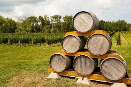 Full-Day Private Nova Scotia Wine Tour from Halifax