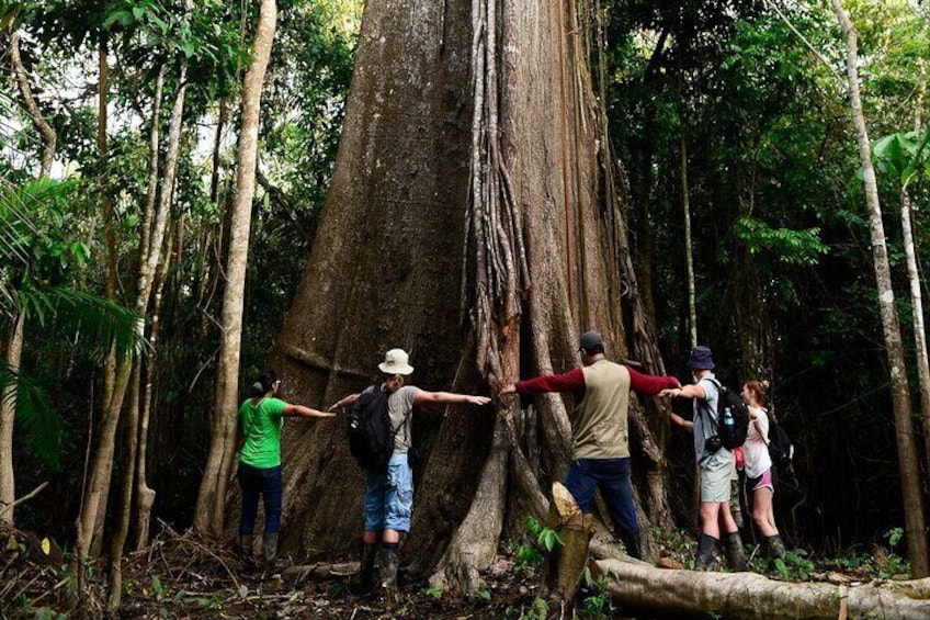 3 Days Jungle Camping Experience from Iquitos