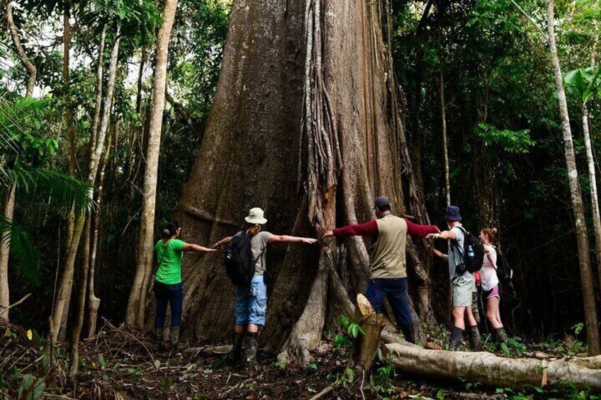 4-Day Jungle Camping from Iquitos