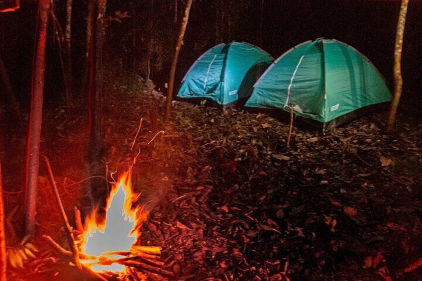 4-Day Jungle Camping from Iquitos