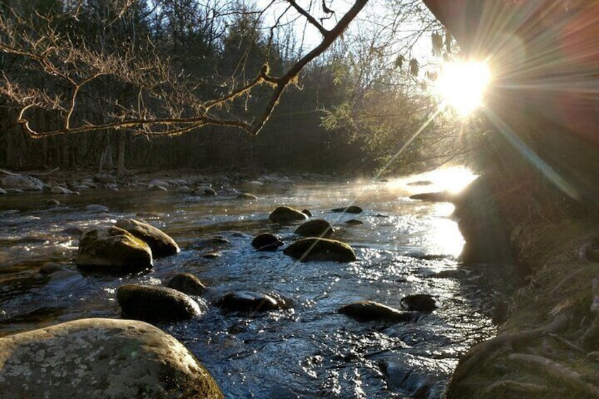 Stroll Back in Time Smokies History Streams and Forest Hike