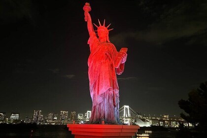 Cherry Blossom & Private Tokyo Tour with English Speaking Guide