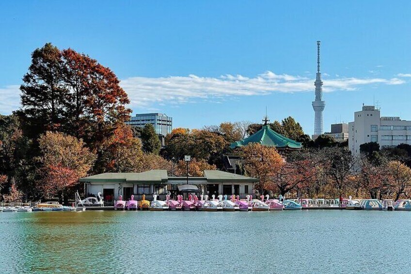 1 Day Private Tokyo Tour With English Language Guide