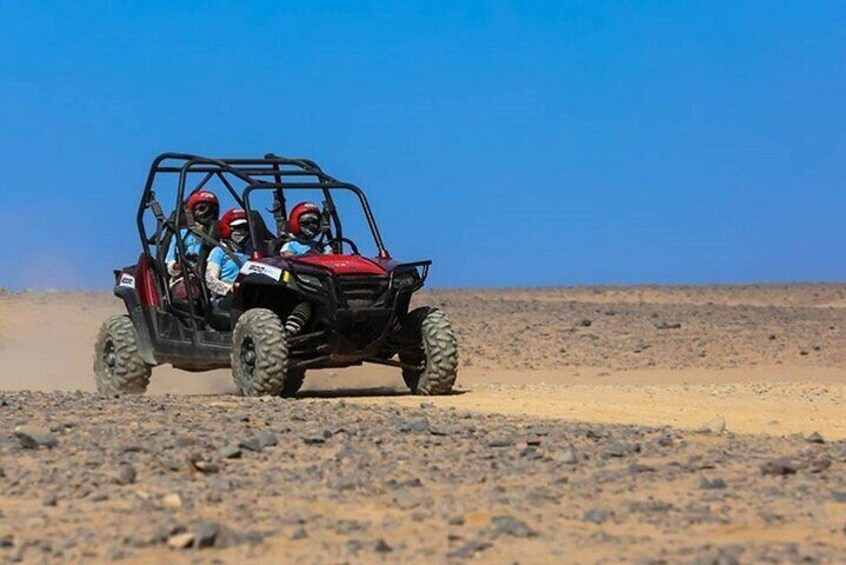 Thrilling Buggy Adventure in Palmeraie with Transfer – Marrakesh