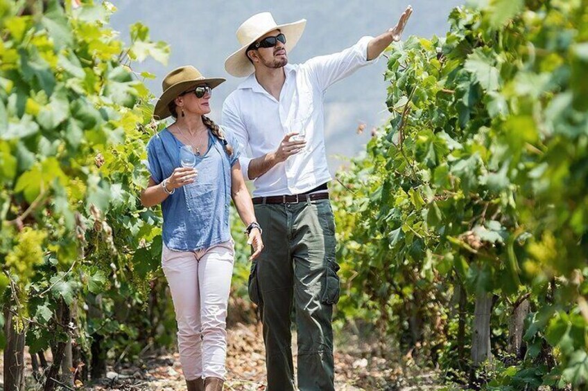 Full Day Tour To Ica Wine Route And Buggies Ride