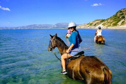 Zakytnhos Horse Riding Swimming Experience