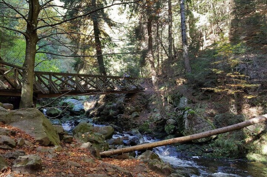 Walk along a stream during your Black Forest hike