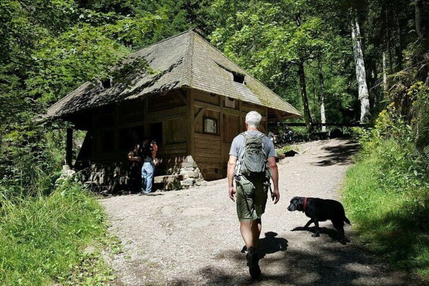 Meet locals during your Black Forest hike