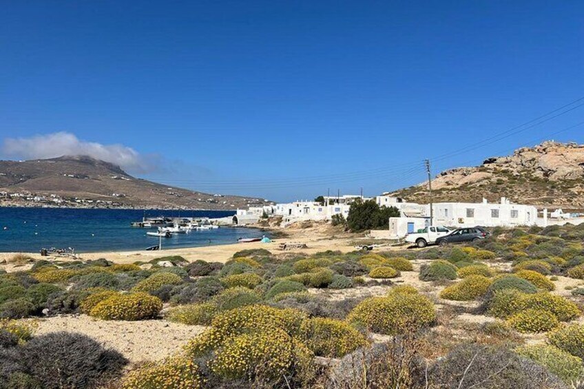 Mykonos Discovery Half Day Private Jeep Tour