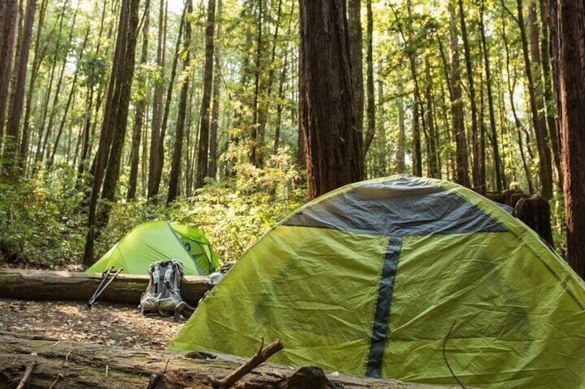 Self Guided Driving Audio Tour of Redwood National and State Park