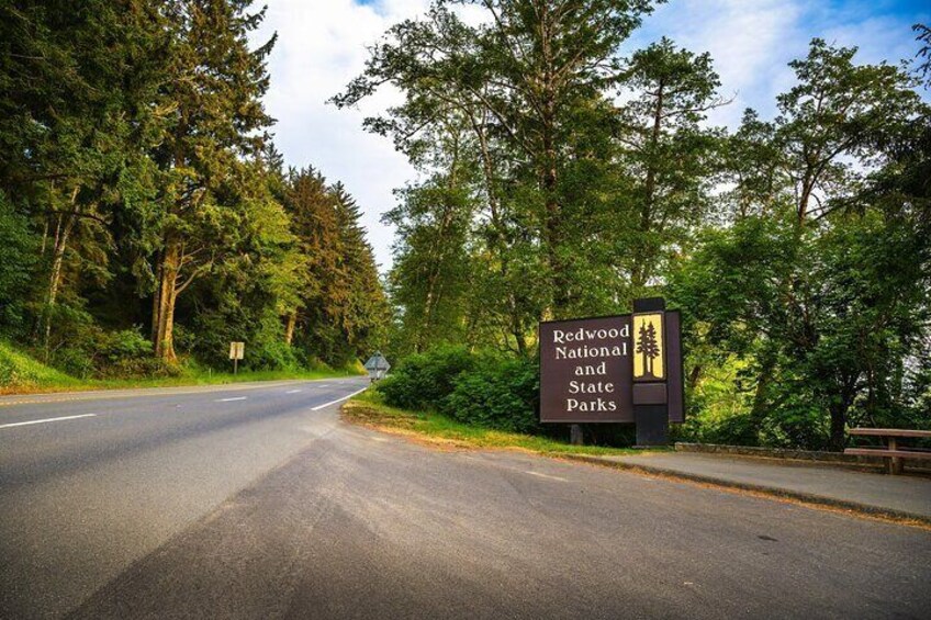 Self Guided Driving Audio Tour of Redwood National and State Park