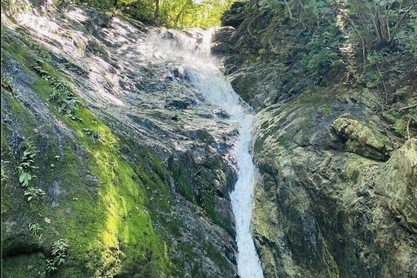 Sierra de Guerrero Waterfalls Tour with Transfers