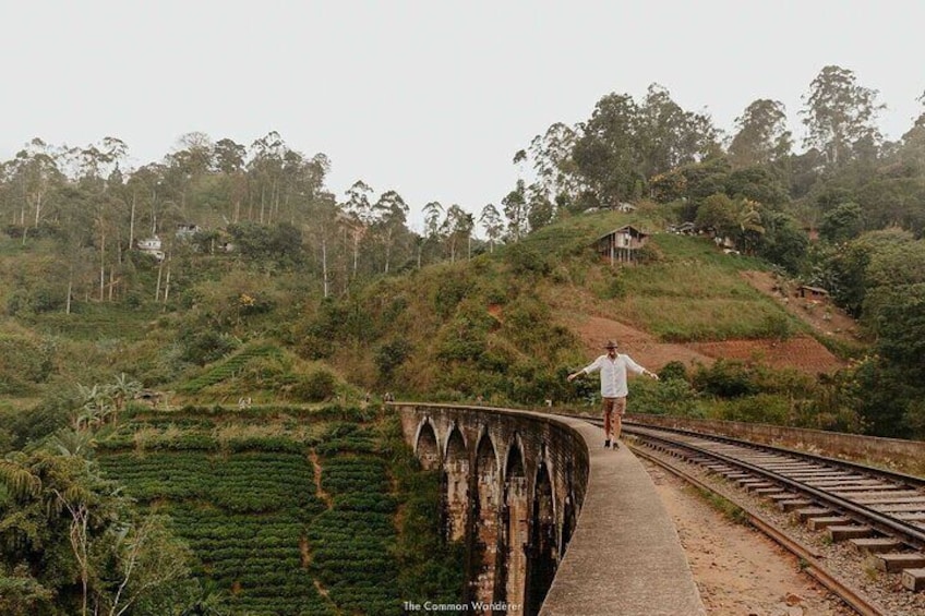 Ella Day Tour with Tea Factory Visit from Colombo or Negombo