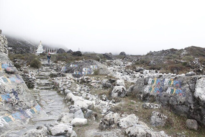 Langtang Trek from Kathmandu 7 Days