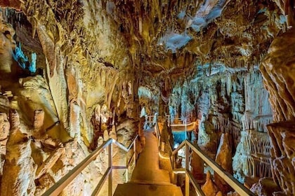 Day Tour in Petralona Cave and Chalkidiki without guide