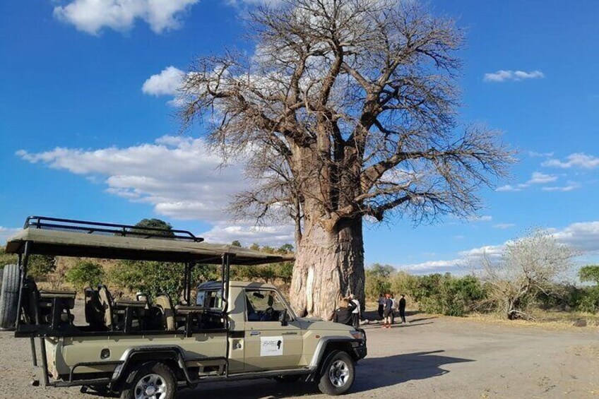 Worlds Only Quadripoint and Chobe Day Trip from Victoria Falls