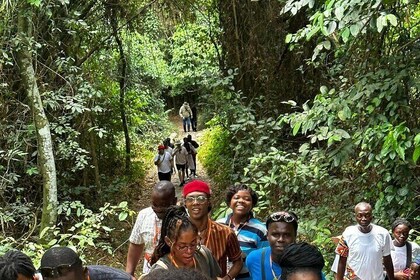 Kakum National Park and Cape Coast Castle Private Tour