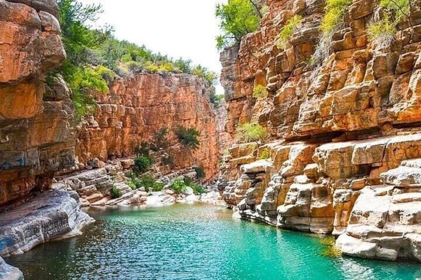 Paradise Valley Trip Atlas Mountains & Fish Pedicure - Agadir