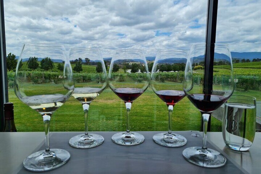 Flavour of the Yarra Valley Private Experience