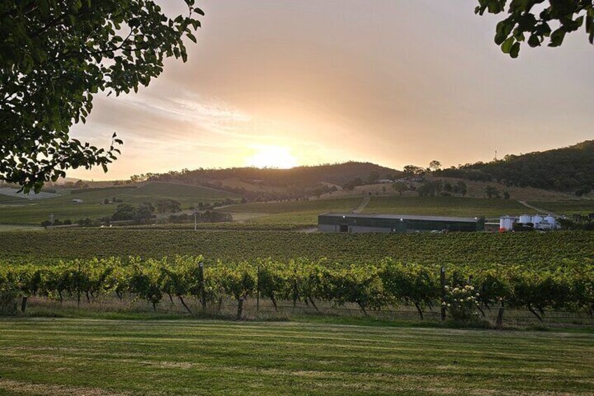 Flavour of the Yarra Valley Private Experience
