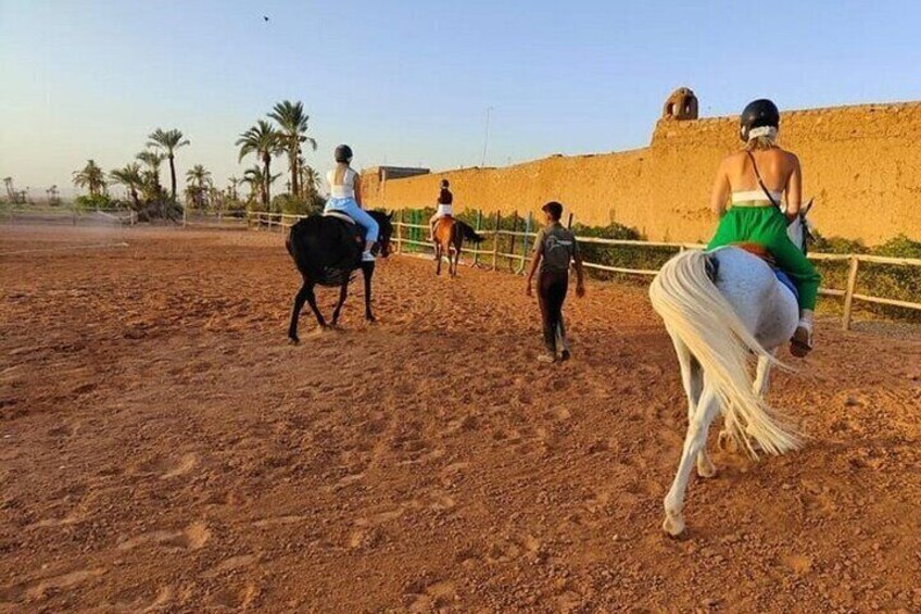 One Hour Horse Riding at Palmeraie Grove & Transfer - Marrakesh