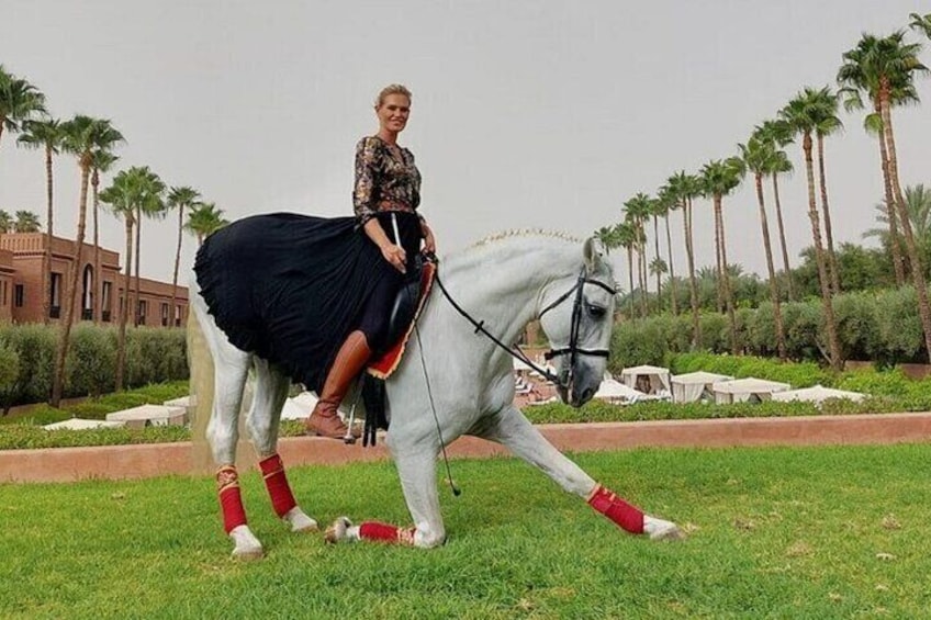 One Hour Horse Riding at Palmeraie Grove & Transfer - Marrakesh