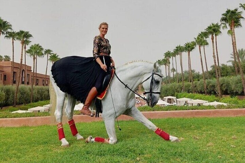 One Hour Horse Riding at Palmeraie Grove & Transfer - Marrakesh