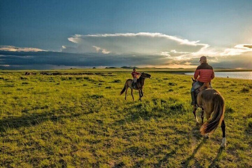 One Hour Horse Riding at Palmeraie Grove & Transfer - Marrakesh