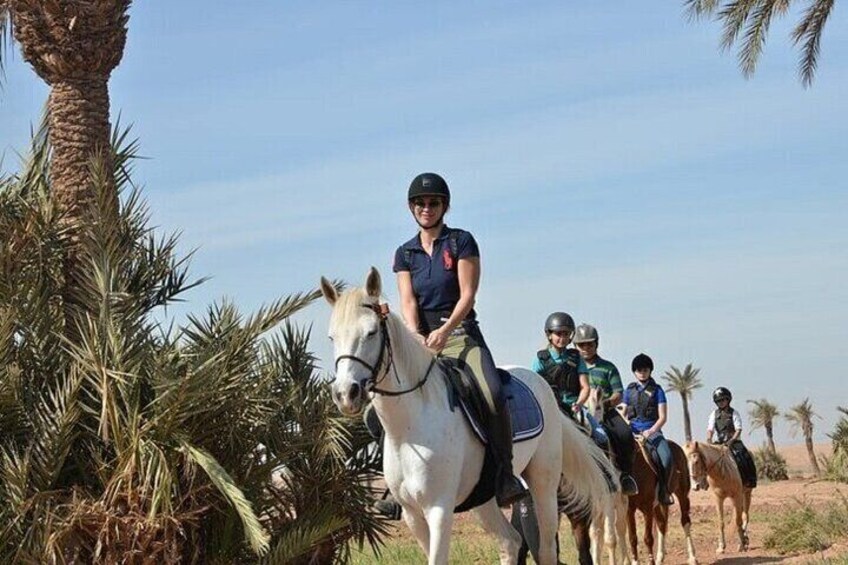 One Hour Horse Riding at Palmeraie Grove & Transfer - Marrakesh
