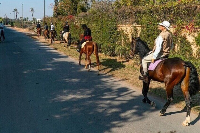 One Hour Horse Riding at Palmeraie Grove & Transfer - Marrakesh