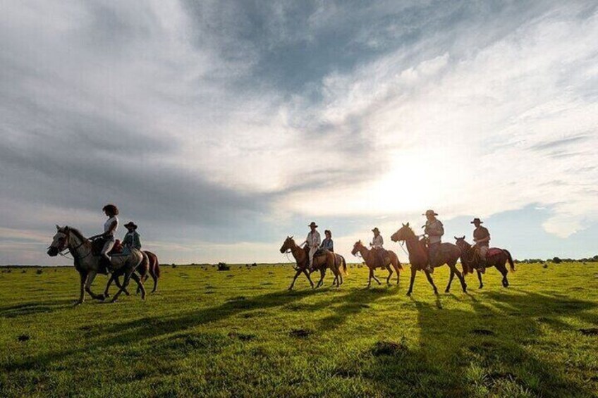 Palmeraie Grove Two Hours Horse Riding & Transfer - Marrakesh