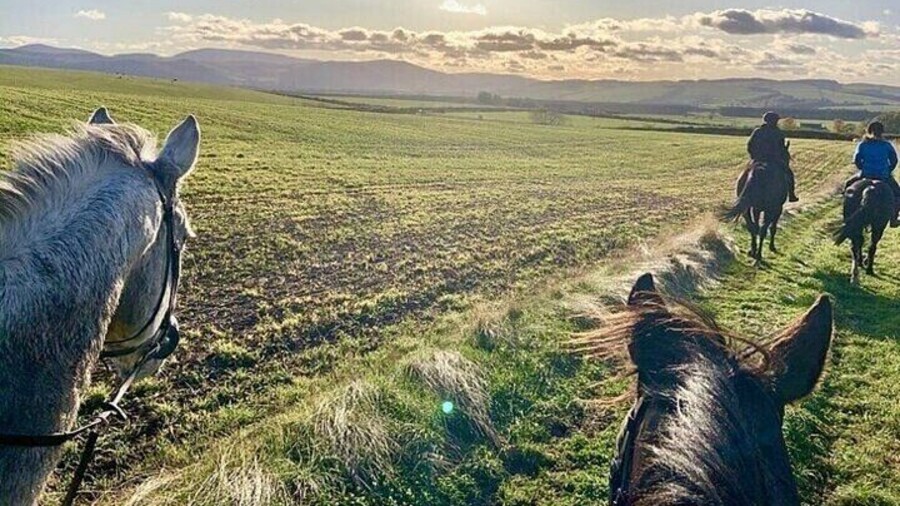 Horseback Riding Trip through Palmeraie Grove 2 Hours - Marrakech