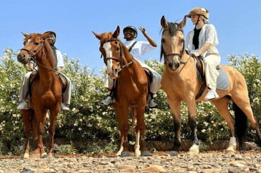 Palmeraie Grove Two Hours Horse Riding & Transfer - Marrakesh