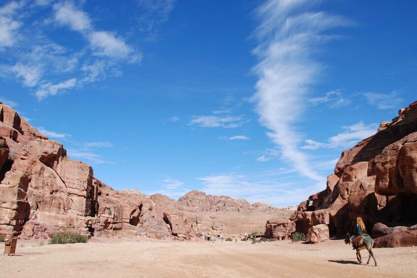 Picture 14 for Activity From Jerusalem: Petra and Wadi Rum 3-Day Tour