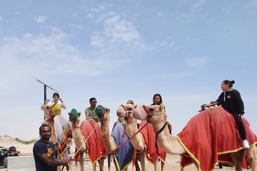 Dune Buggy Safari with Camel Ride