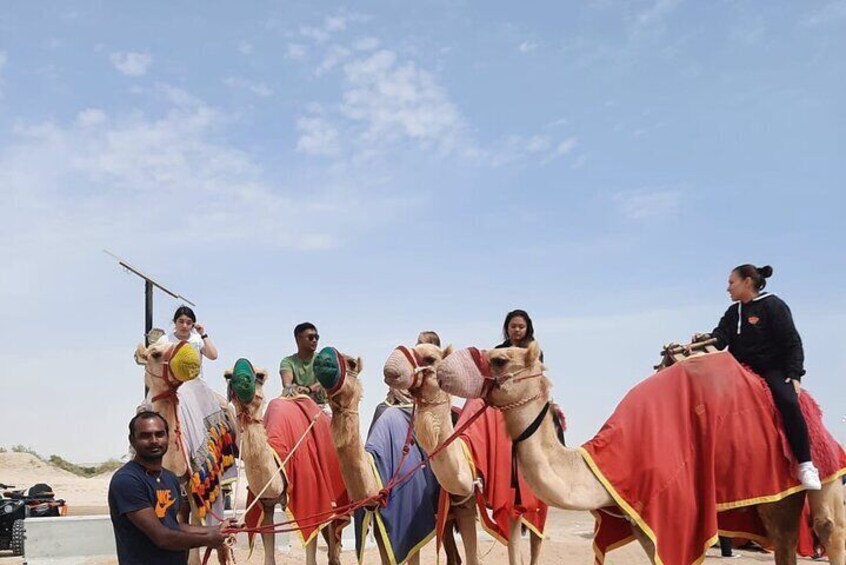Dune Buggy Safari with Camel Ride