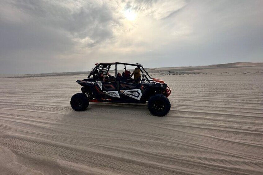 Dune Buggy Safari with Camel Ride