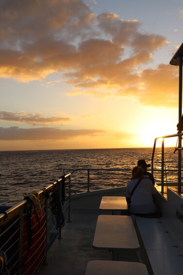 Waikiki Sunset Catamaran Cruise with dinner, Fireworks on Fridays